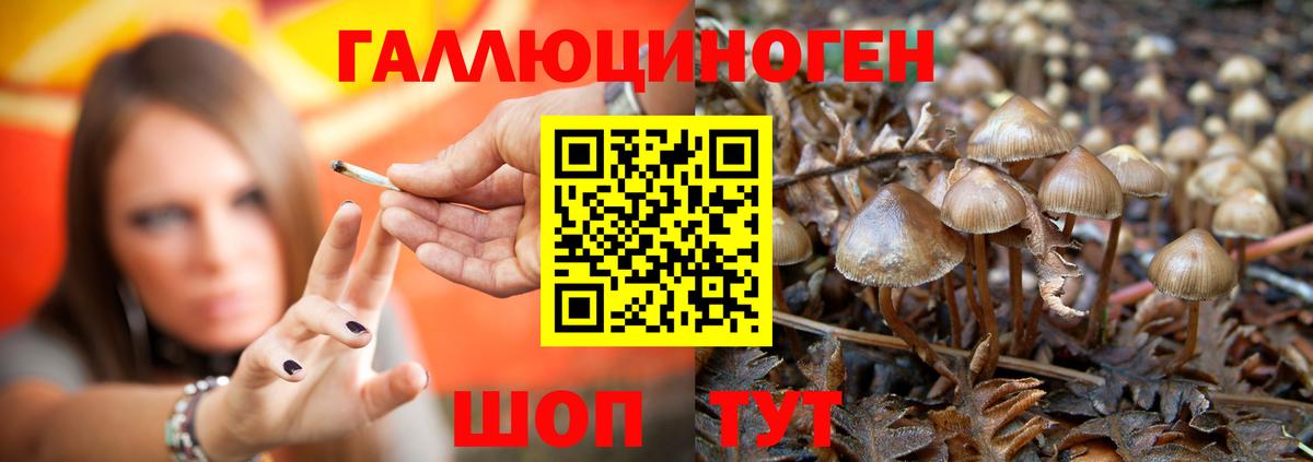 Соль-Илецк  Псилоцибиновые грибы Magic Shrooms  Вход с VPN 